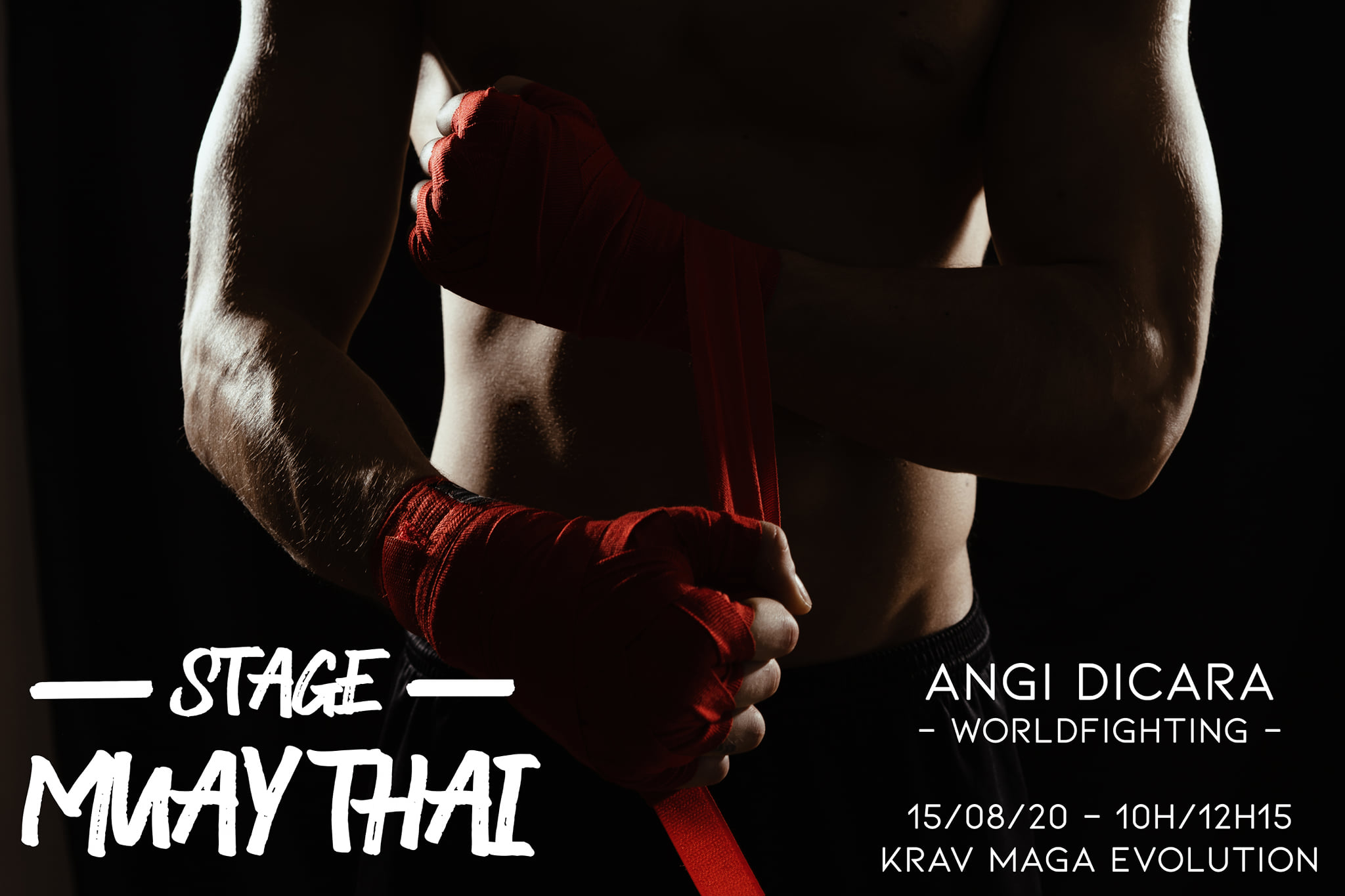 Stage krav maga Muay Thai